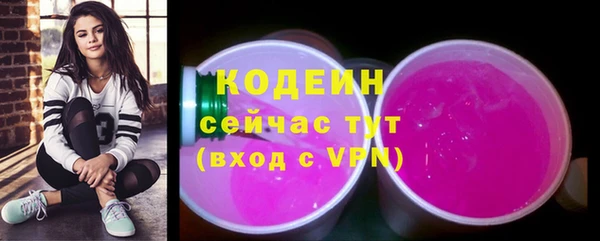 хмурый Лагань