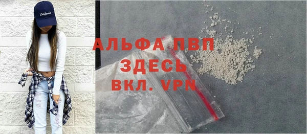 хмурый Лагань