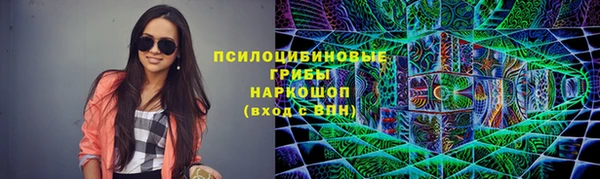 хмурый Лагань